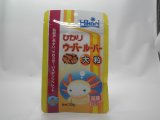 ■hikari　ウーパールーパー　大粒