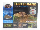 ■エキゾテラ　タートルバンクＳ
