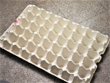 ■タマゴパック紙製　１枚